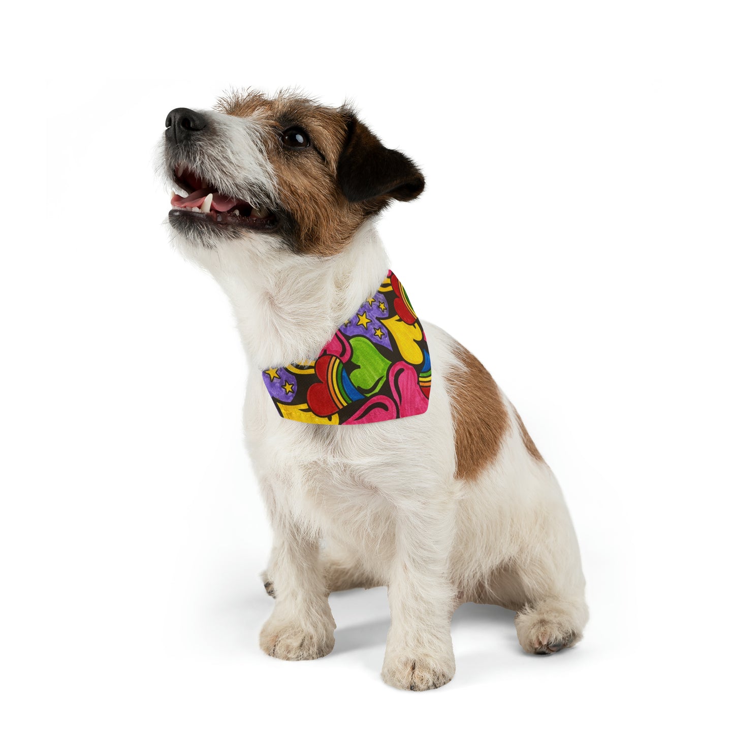 Much Love - Pet Bandana Collar