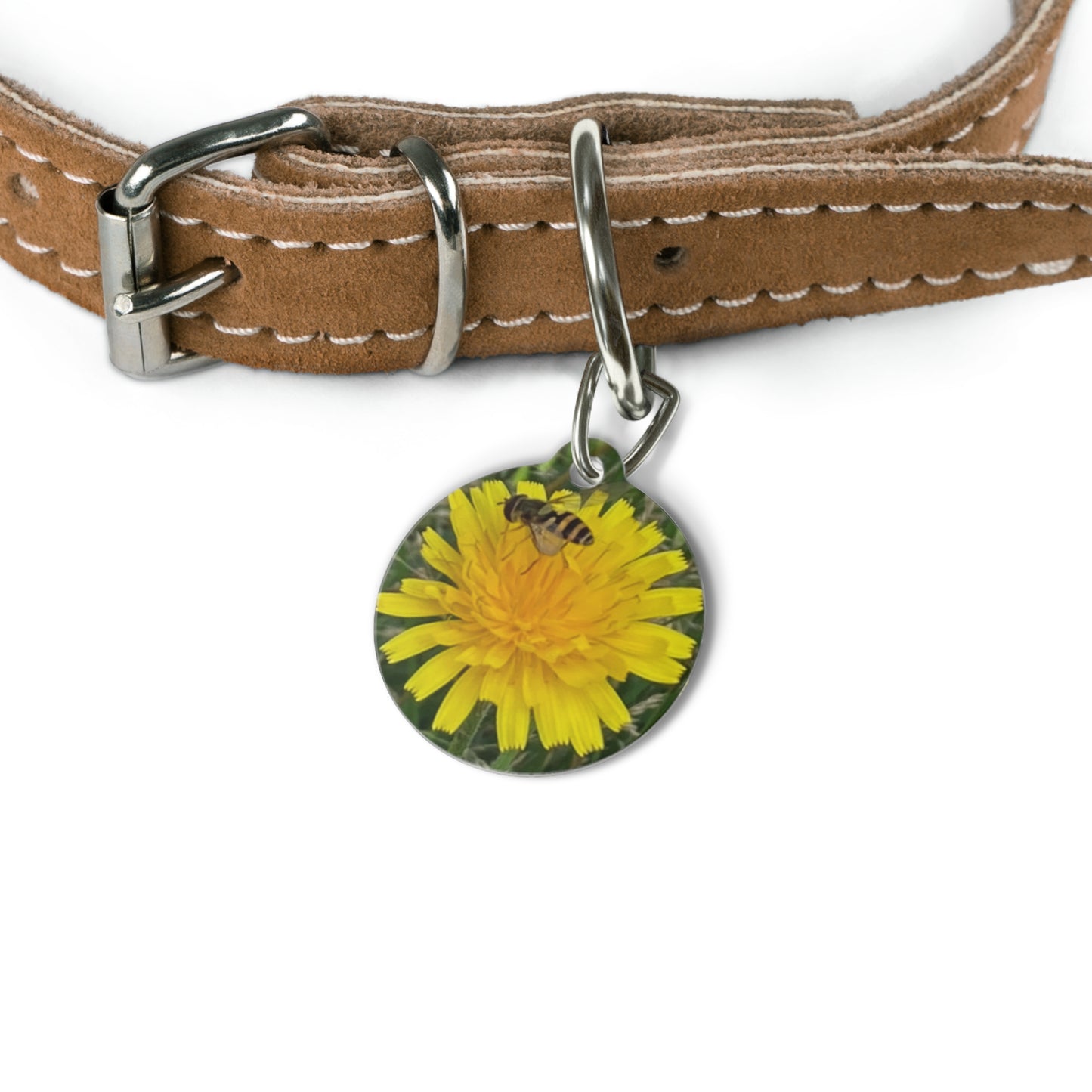 šš®š® šš¾ššš - Pet Tag