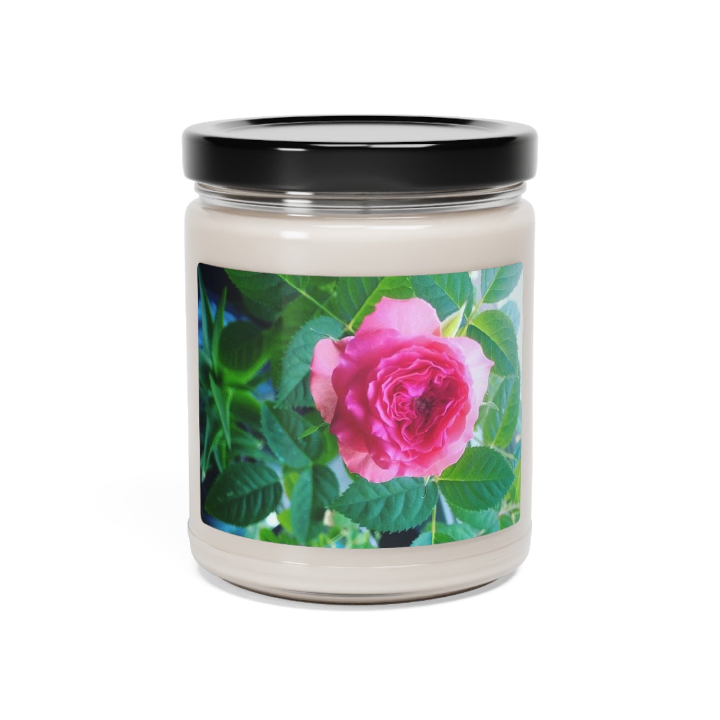 The Rose - Assorted Scents - Soy Candle - 9oz