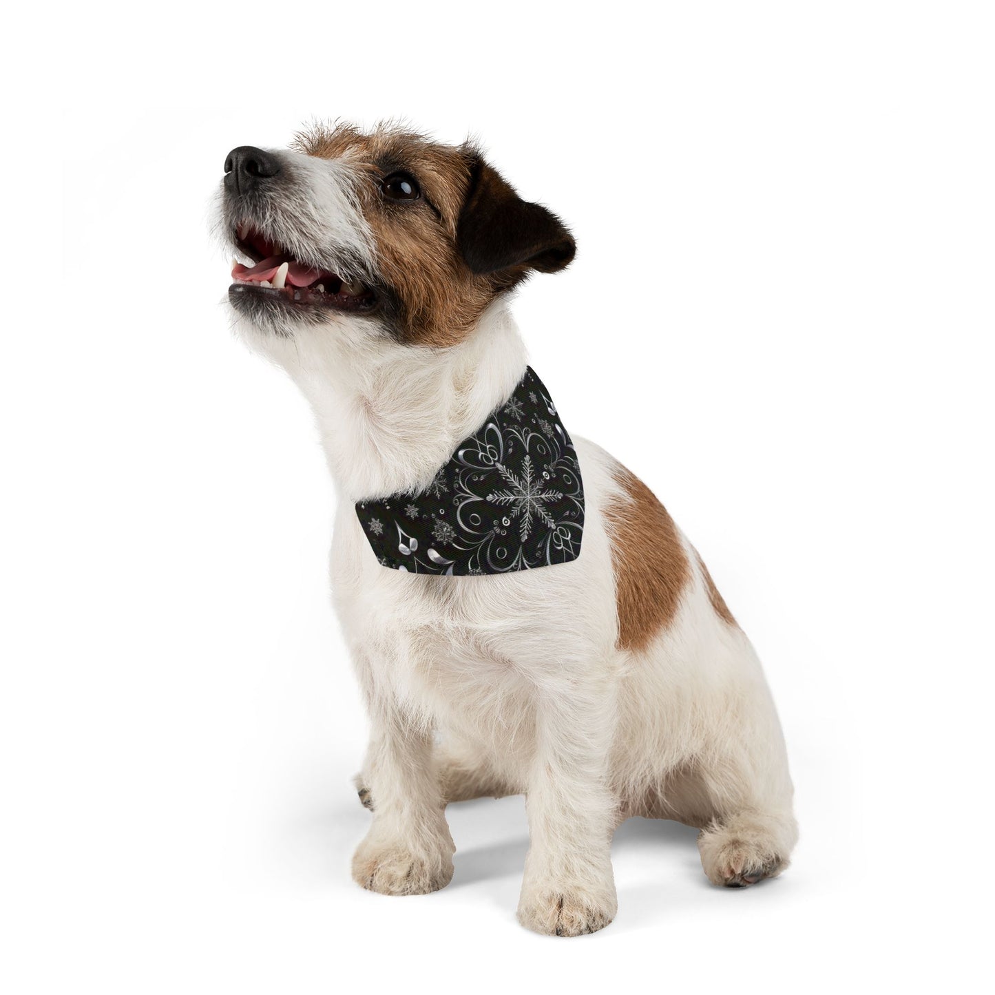 𝓢𝓱𝓲𝓶𝓶𝓮𝓻  𝓢𝓷𝓸𝔀𝓯𝓵𝓪𝓴𝓮𝓼  - Pet Bandana Collar