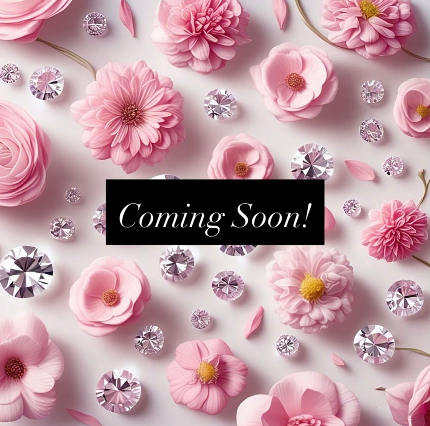 𝗣𝗶𝗻𝗸 𝗣𝗿𝗲𝘁𝘁𝘆 𝗣𝗲𝘁𝗮𝗹𝘀 - Suncatcher